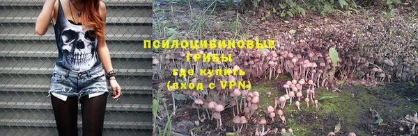 герыч Алексин