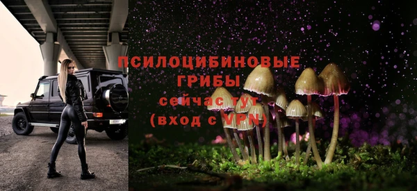 каннабис Алзамай