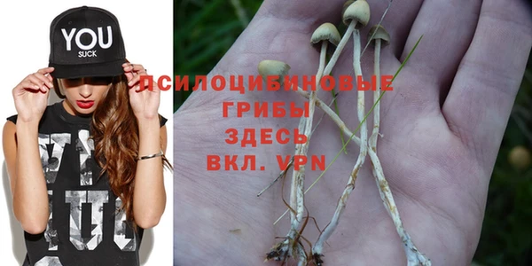 мяу мяу мука Алексеевка
